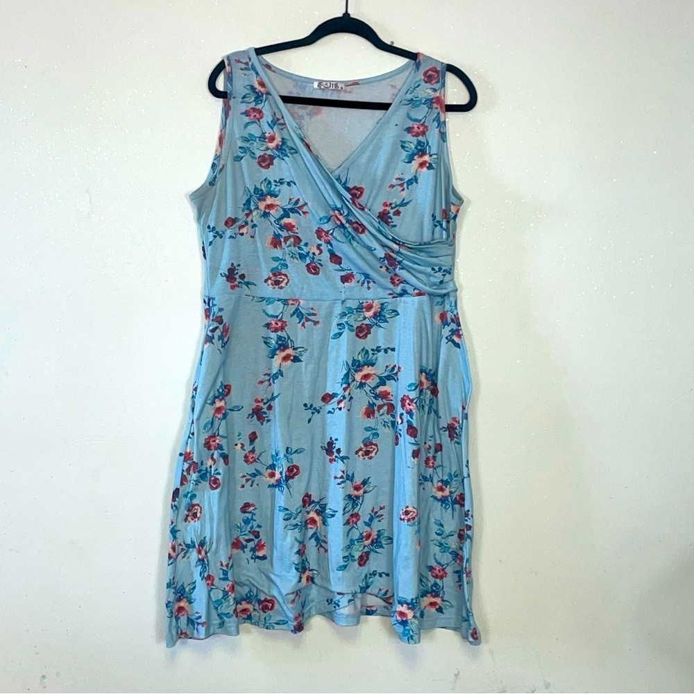 Women’s Plus Size Sleeveless Floral Blue Dress